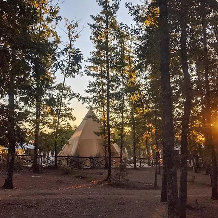 Campeggio Orlando In Chianti Glamping