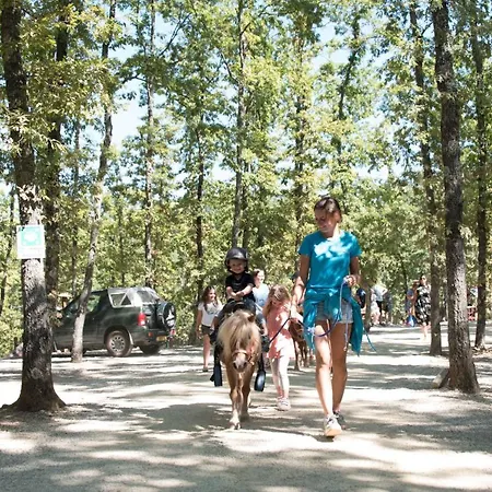 Orlando In Chianti Glamping Campeggio Cavriglia